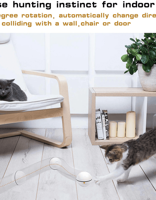 Load image into Gallery viewer, Smart Interactive Pet Ball
