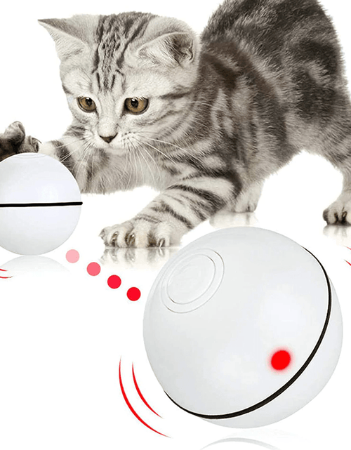 Load image into Gallery viewer, Smart Interactive Pet Ball
